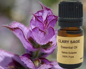 Clary Sage Essential Oil