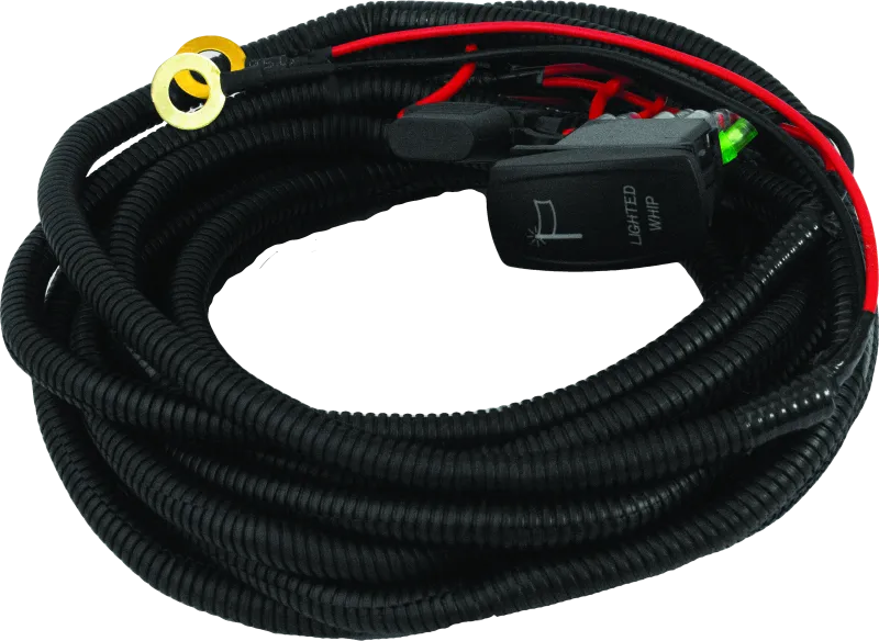 DragonFire Racing Whip Harness - 2 Seat- Dual