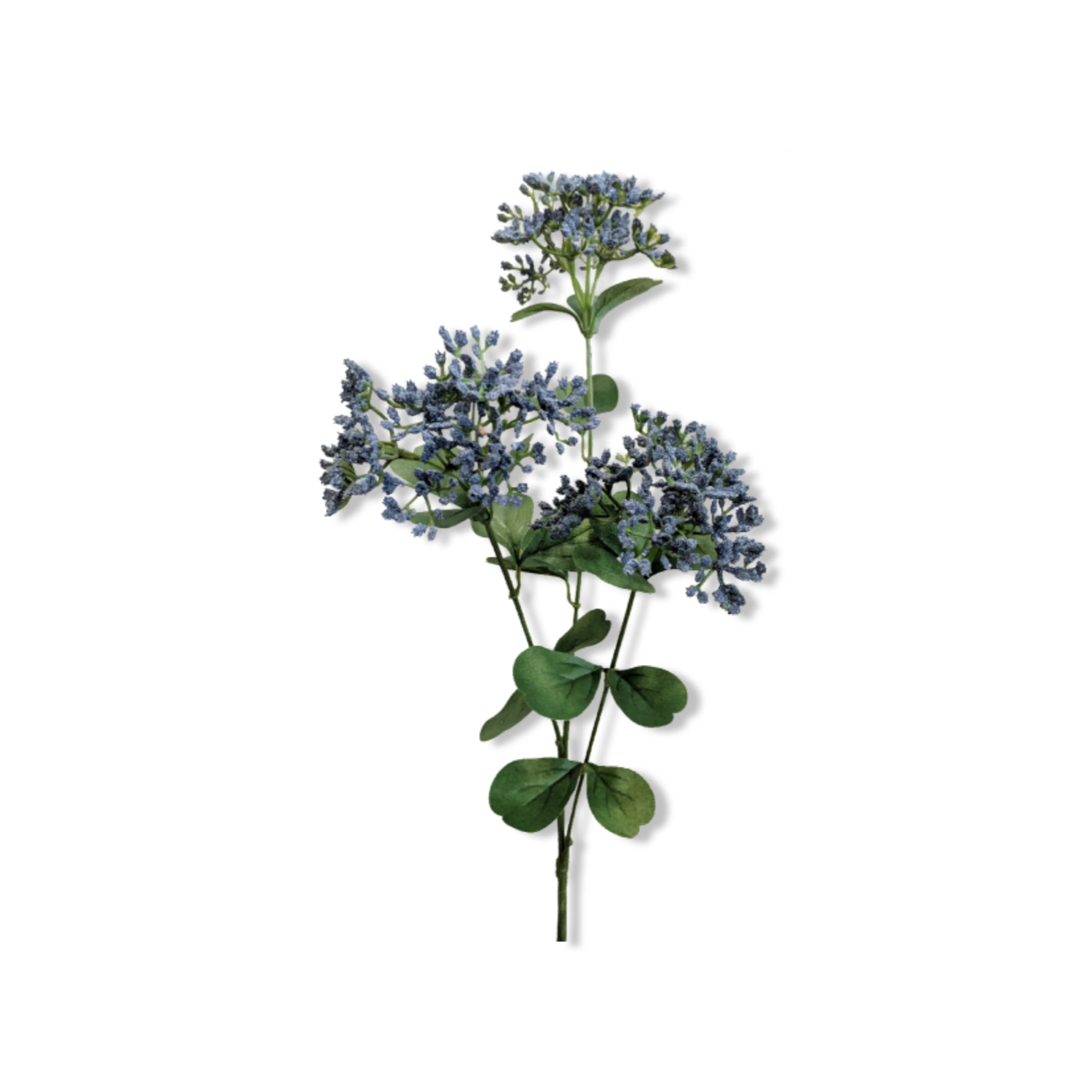Essential Oil -Blue Yarrow (Achillea Millefolium)