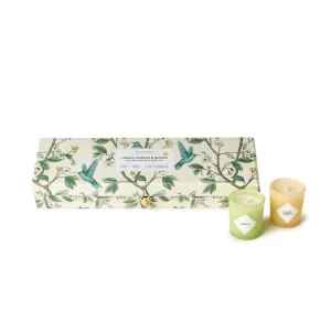 Lemon Verbana Quince Candles, Set of 5