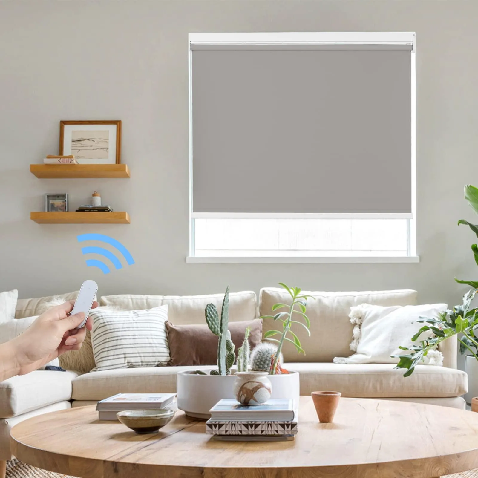 Motorized | Light Filtering | Rechargeable | Roller Shades | Customizable