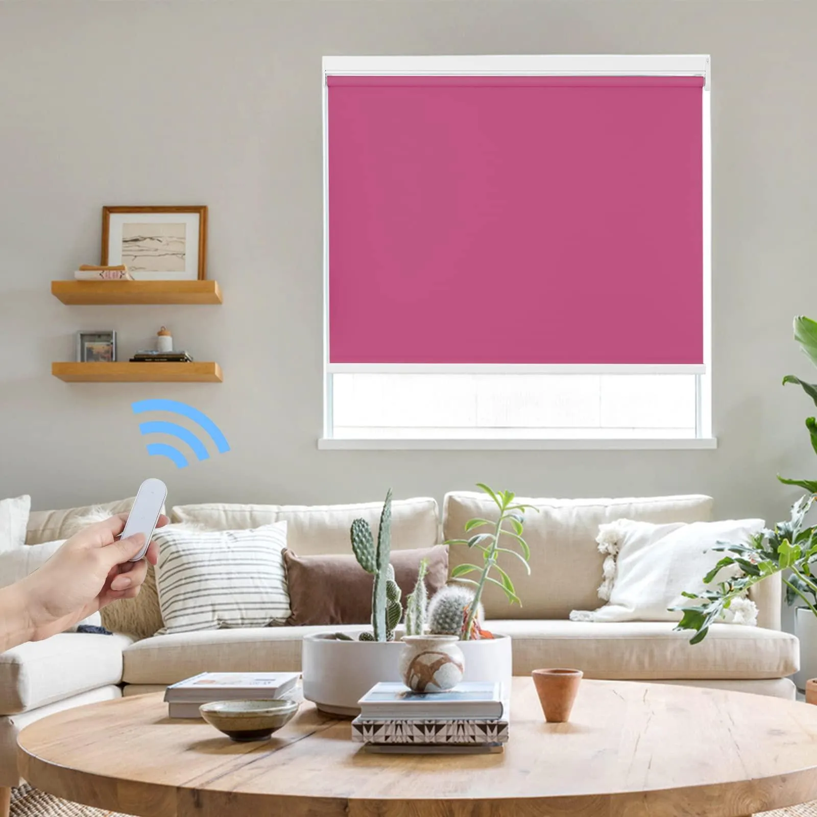 Motorized | Light Filtering | Rechargeable | Roller Shades | Customizable