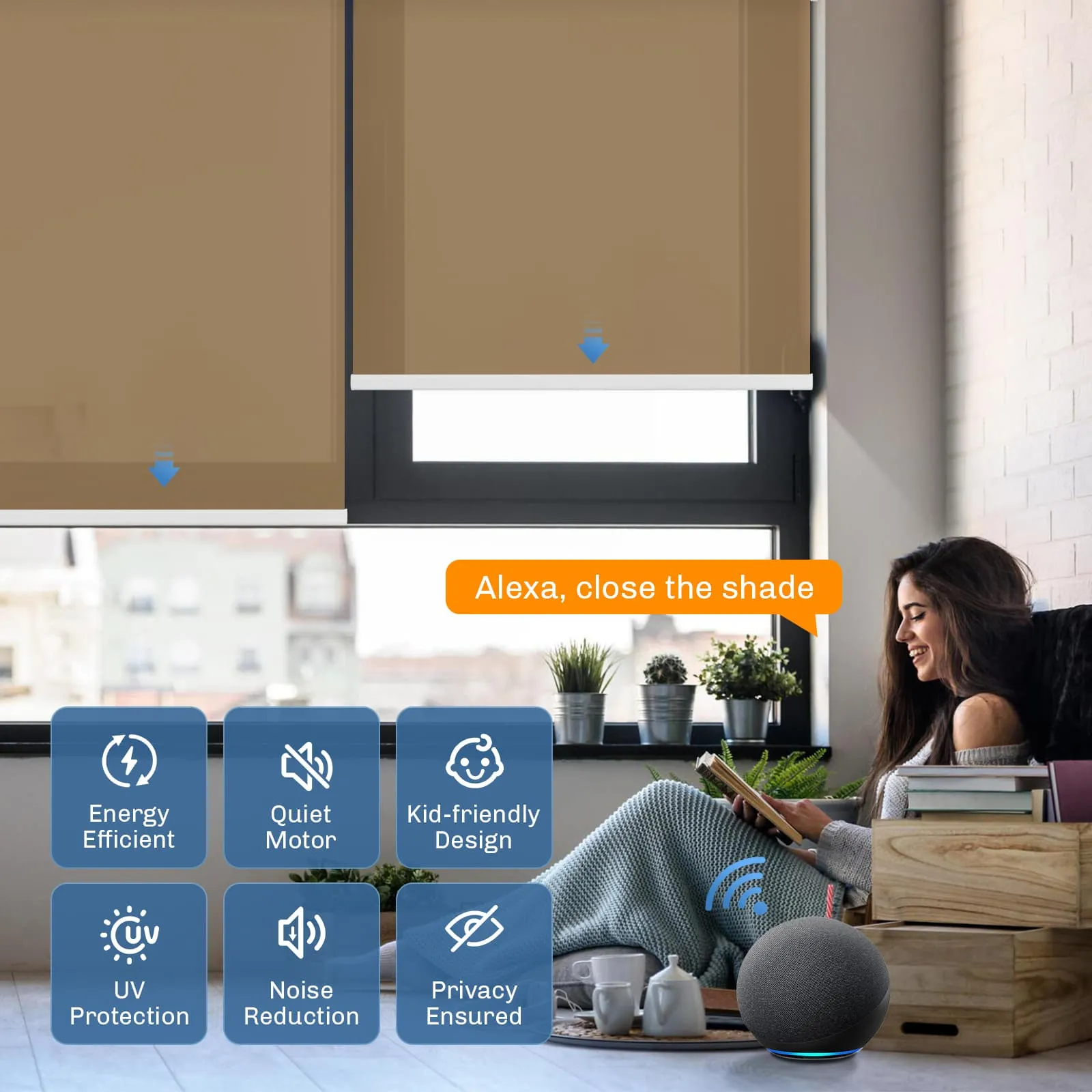 Motorized | Light Filtering | Rechargeable | Roller Shades | Customizable