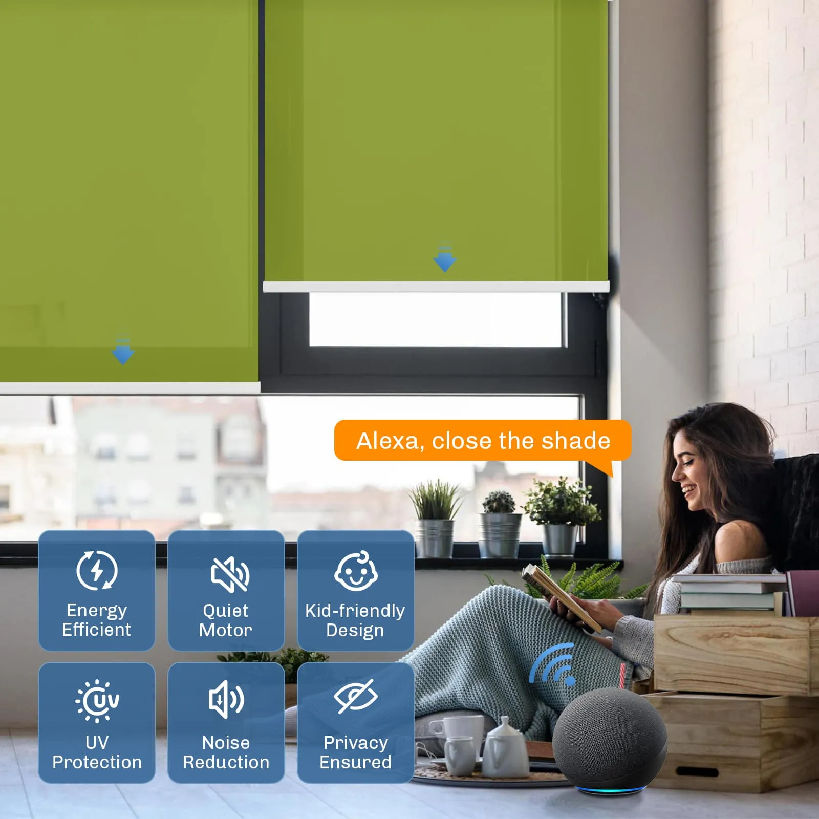 Motorized | Light Filtering | Rechargeable | Roller Shades | Customizable