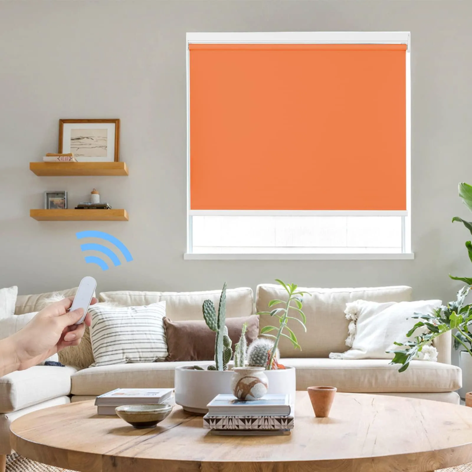 Motorized | Light Filtering | Rechargeable | Roller Shades | Customizable