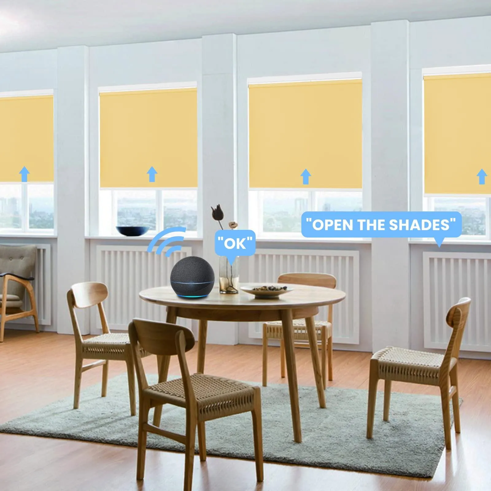 Motorized | Light Filtering | Rechargeable | Roller Shades | Customizable