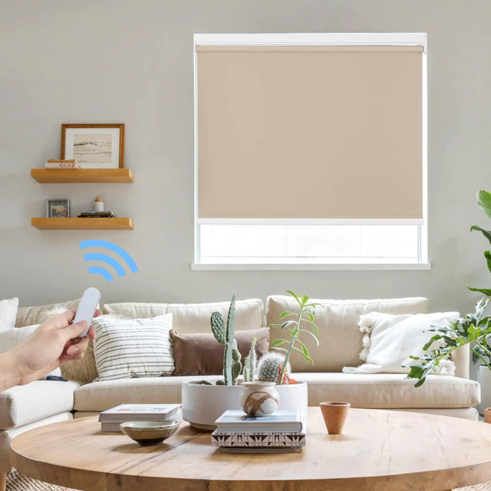 Motorized | Light Filtering | Rechargeable | Roller Shades | Customizable