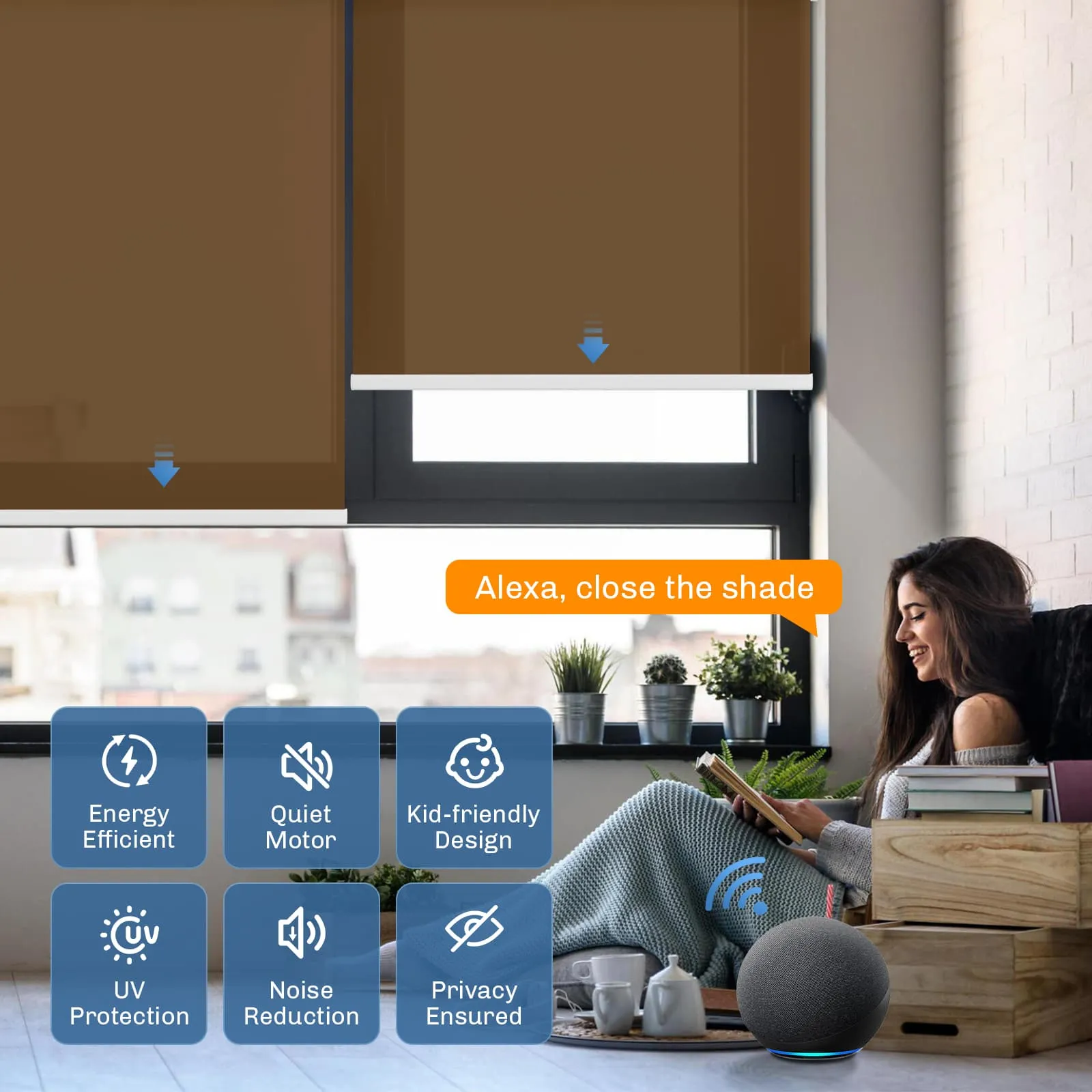 Motorized | Light Filtering | Rechargeable | Roller Shades | Customizable