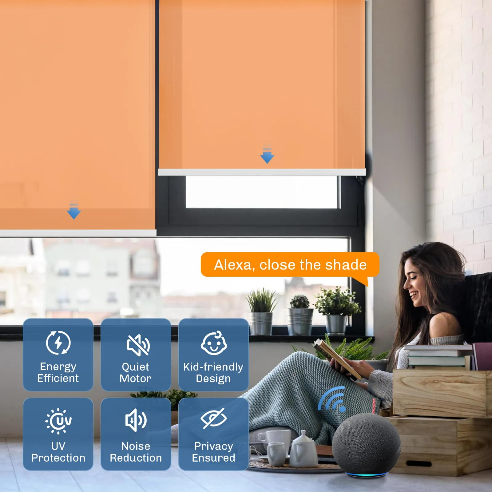 Motorized | Light Filtering | Rechargeable | Roller Shades | Customizable