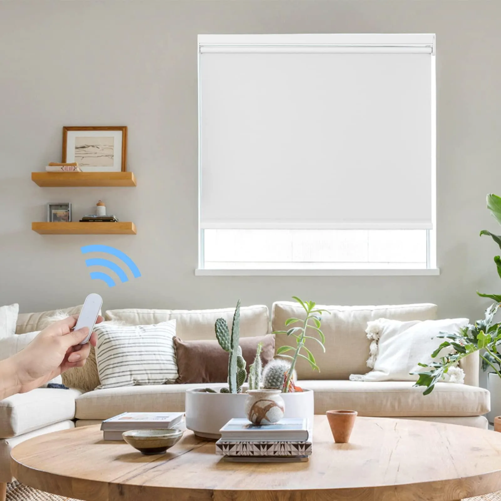 Motorized | Light Filtering | Rechargeable | Roller Shades | Customizable