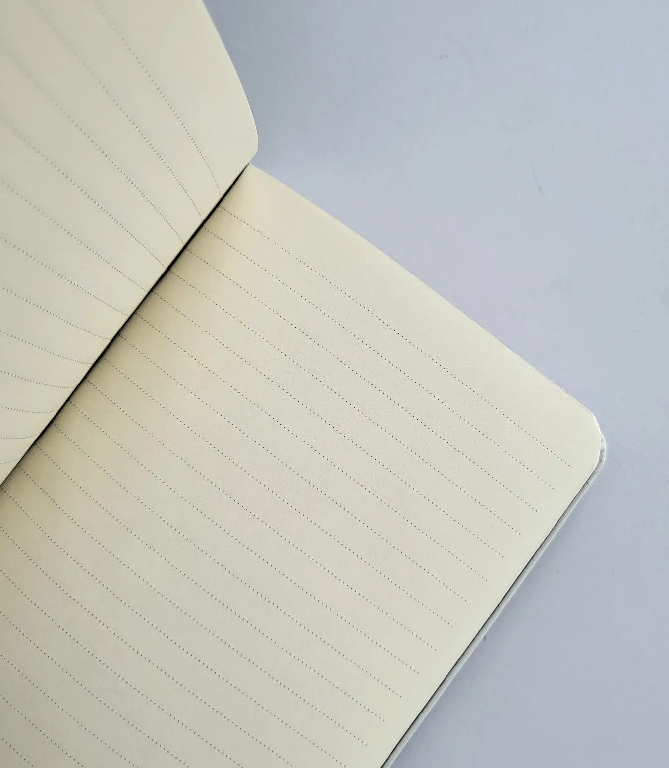 Notebook Hearts