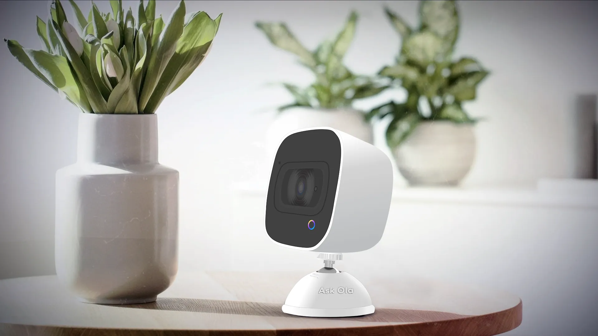 Ola Smart Talking Security Camera
