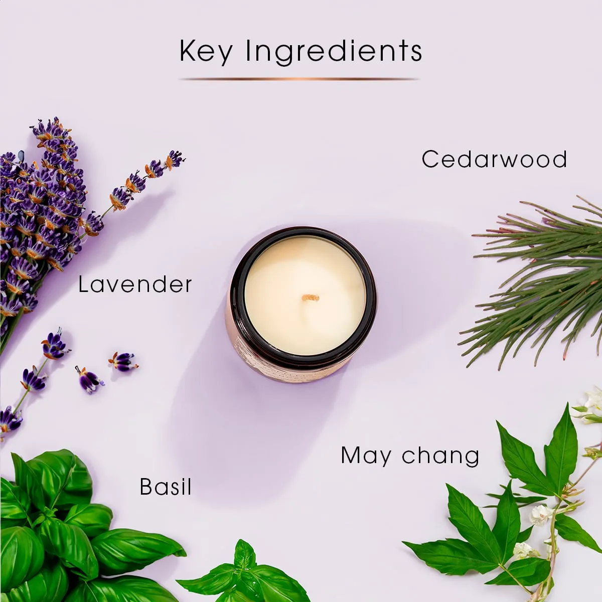Serenity Candle with Lavender & Basil | Calming and Relaxing